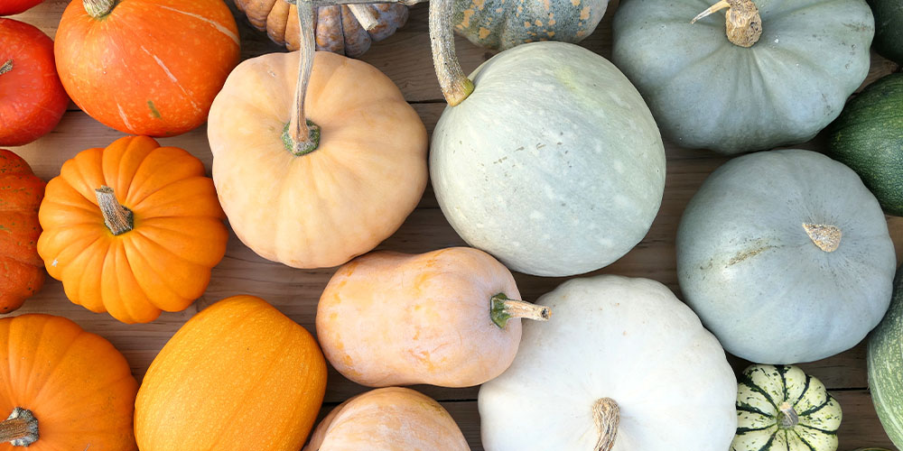 Different Types of Pumpkins. livemintusa.com