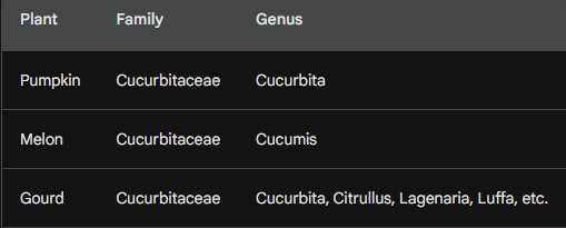 summarizing the relationships between pumpkins, melons, and gourds